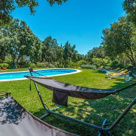 Llamas By Vintage Travel