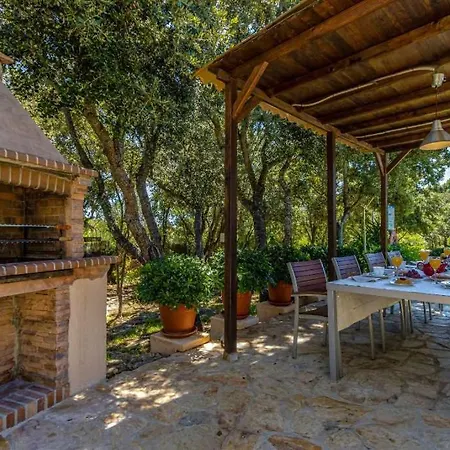 Llamas By Vintage Travel Pollenca