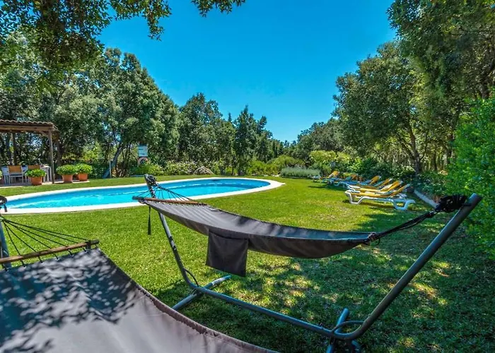 Llamas By Vintage Travel