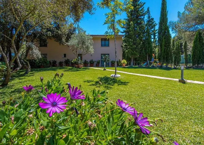 Villa Llamas By Vintage Travel *