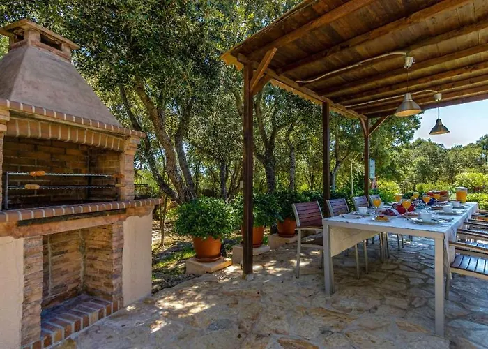 Llamas By Vintage Travel Pollenca