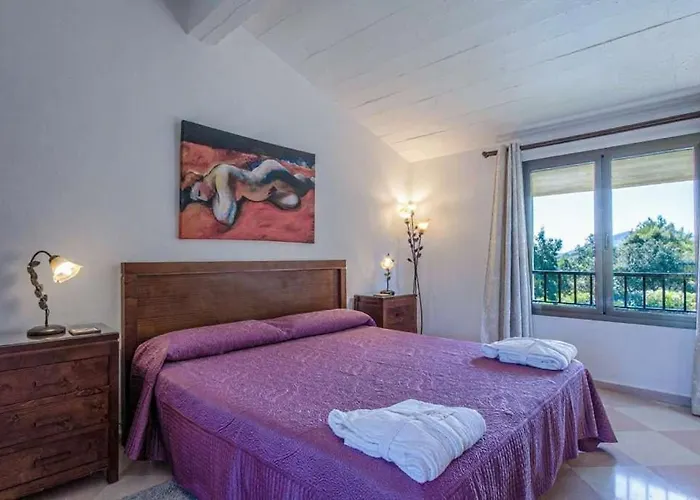 Llamas By Vintage Travel *