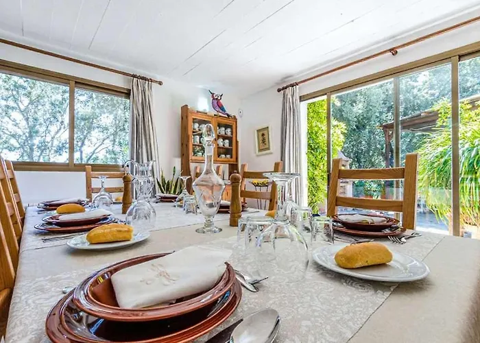 Llamas By Vintage Travel * Pollenca