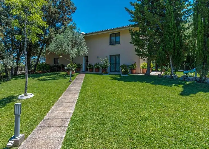 Llamas By Vintage Travel Pollenca