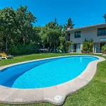 Llamas Villa Pollenca