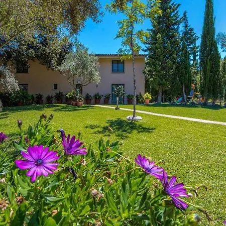 Villa Llamas *