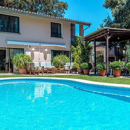 Llamas By Vintage Travel *