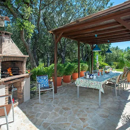 Llamas Villa Pollença