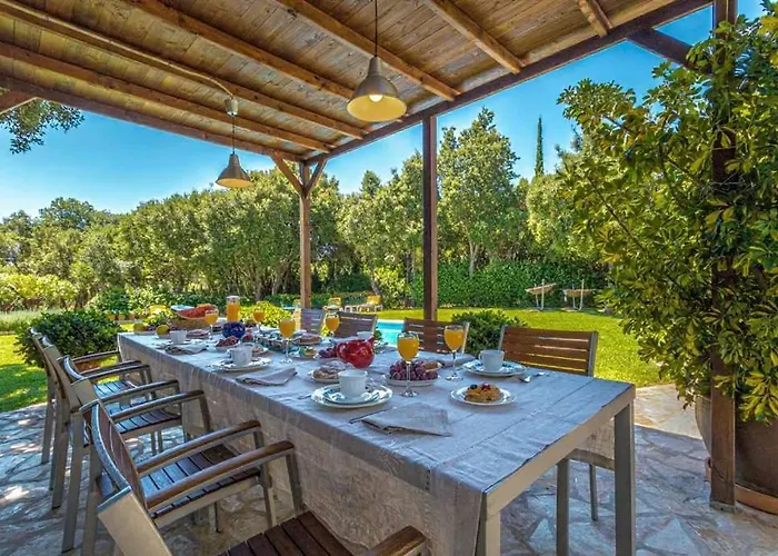 Llamas By Vintage Travel *