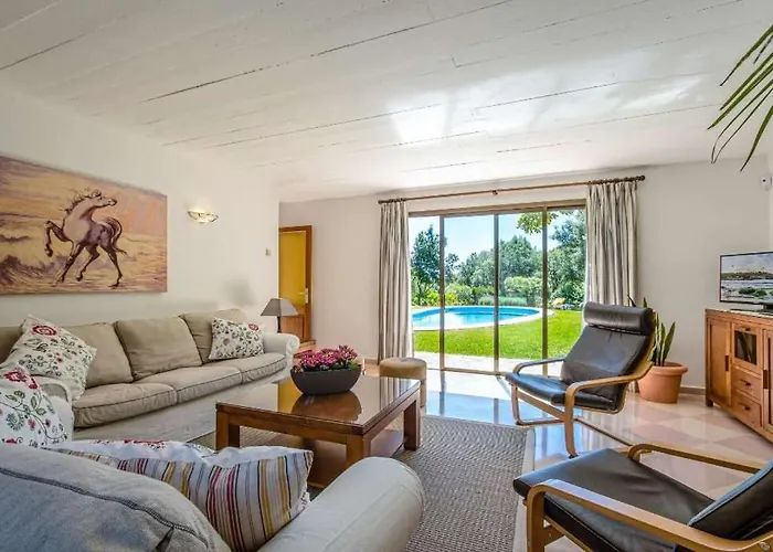 Llamas By Vintage Travel