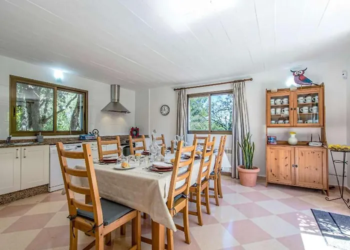 Llamas By Vintage Travel