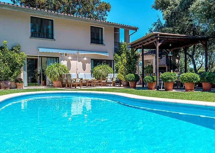 Llamas By Vintage Travel *