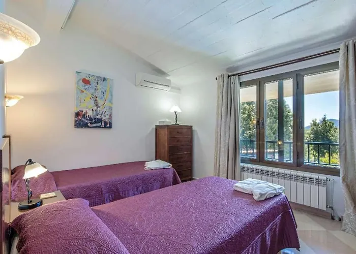 Llamas By Vintage Travel Pollença