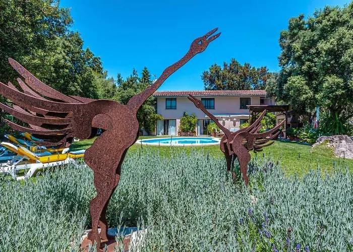 Llamas By Vintage Travel *